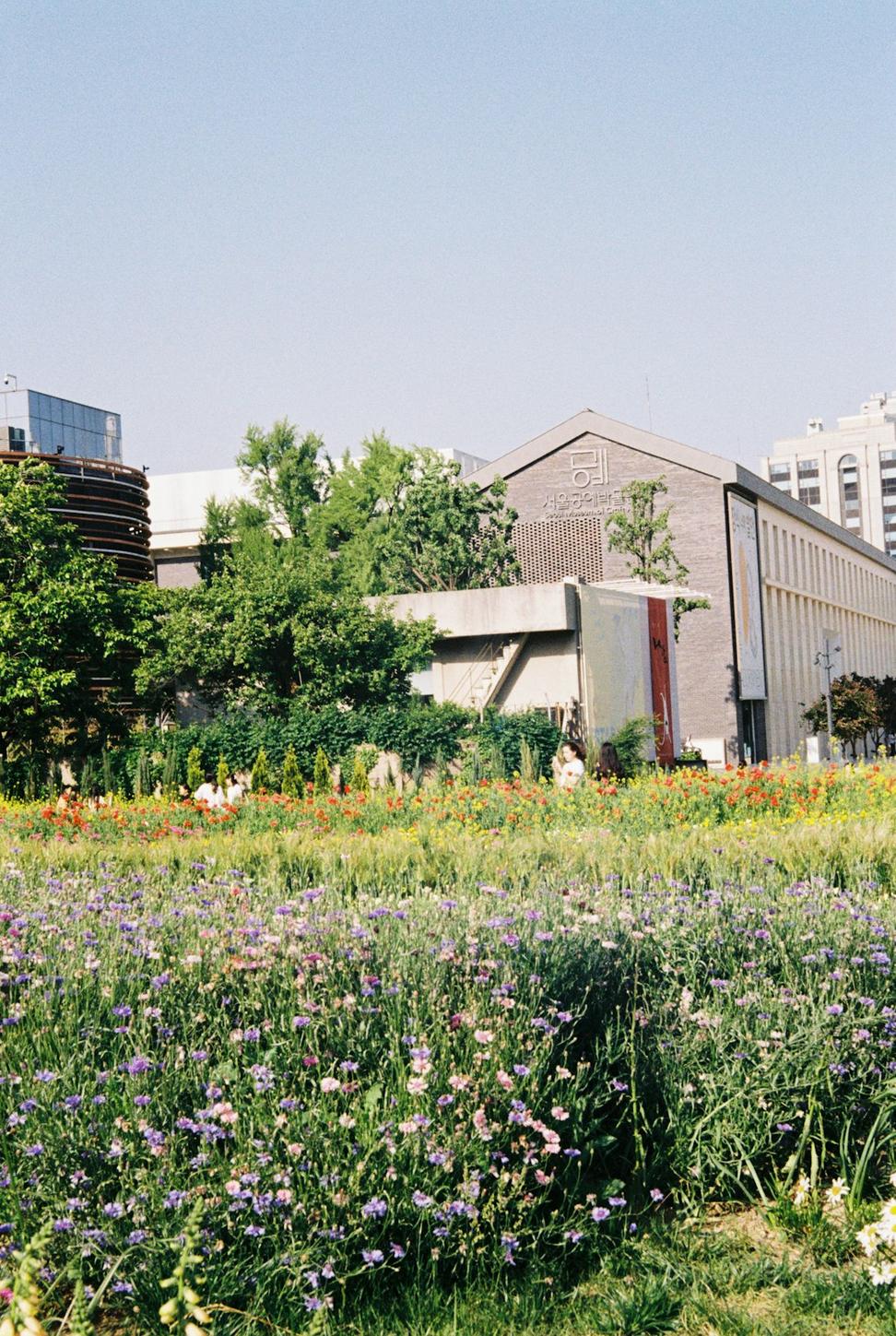 Community Hub Renewal